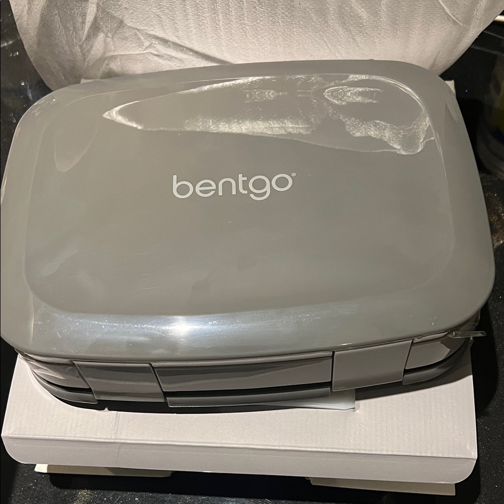 Bentgo Gray Lunch Box